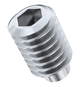 SS Grub Screw M2.5X5MM