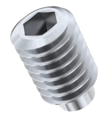 SS Grub Screw M5X10MM