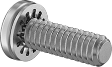 Steel Pan Head Screws with Internal Tooth Lock Washer 6-32 Thread 1/4 Long(Pack of 100)